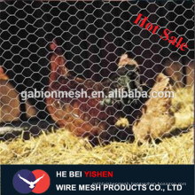 chicken coop galvanized wire mesh